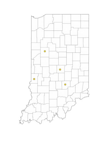 Tynan Indiana location map